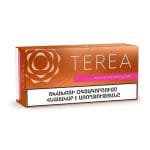 فیلتر سیگار الکترونیکی ترا Terea E-Cigar Filter