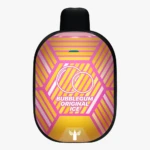 پاد یکبار مصرف دکتر ویپ 5500 پاف پنتر بار Dr Vape Panther Bar 5500 Puff Disposable