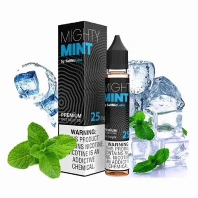 سالت نعنا یخ ویگاد VGod Nighty Mint Salt Nicotine