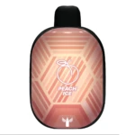 پاد یکبار مصرف دکتر ویپ 5500 پاف پنتر بار Dr Vape Panther Bar 5500 Puff Disposable